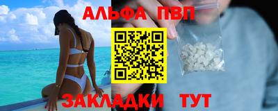 спиды Славгород