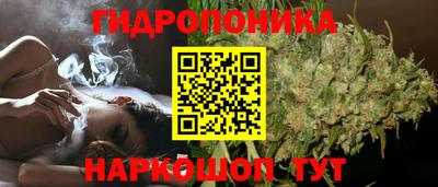 спиды Славгород