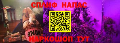 спиды Славгород
