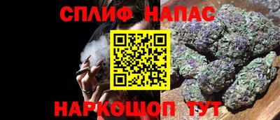 спиды Славгород