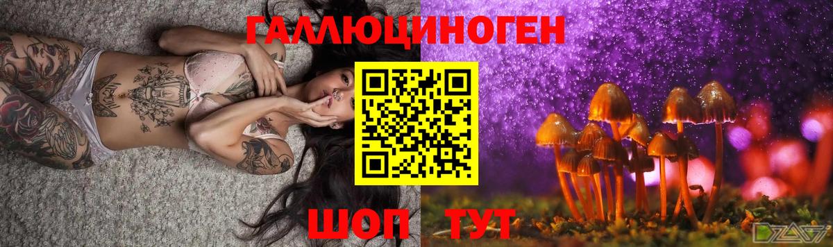 Псилоцибиновые грибы GOLDEN TEACHER Орехово-Зуево