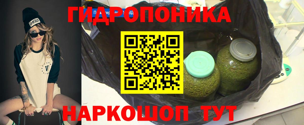 Конопля гибрид Орехово-Зуево
